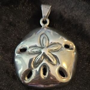 Source Unknown Silver Pendant